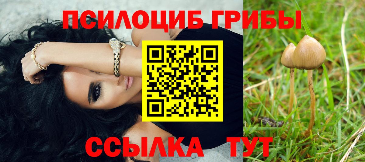 Псилоцибиновые грибы GOLDEN TEACHER Краснодар
